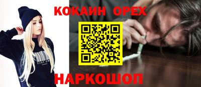 дмт Гатчина