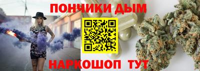 дмт Гатчина