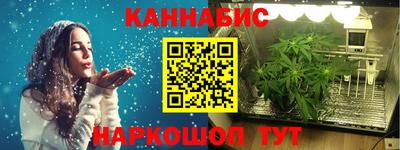 дмт Гатчина