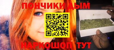 дмт Гатчина