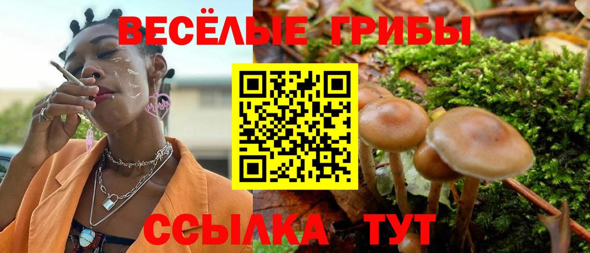 Галлюциногенные грибы мухоморы  Галлюциногенные грибы Magic Shrooms  Нефтеюганск  Вход с VPN 
